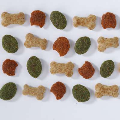 OEM DRY DOG FOOD (product for thailand)